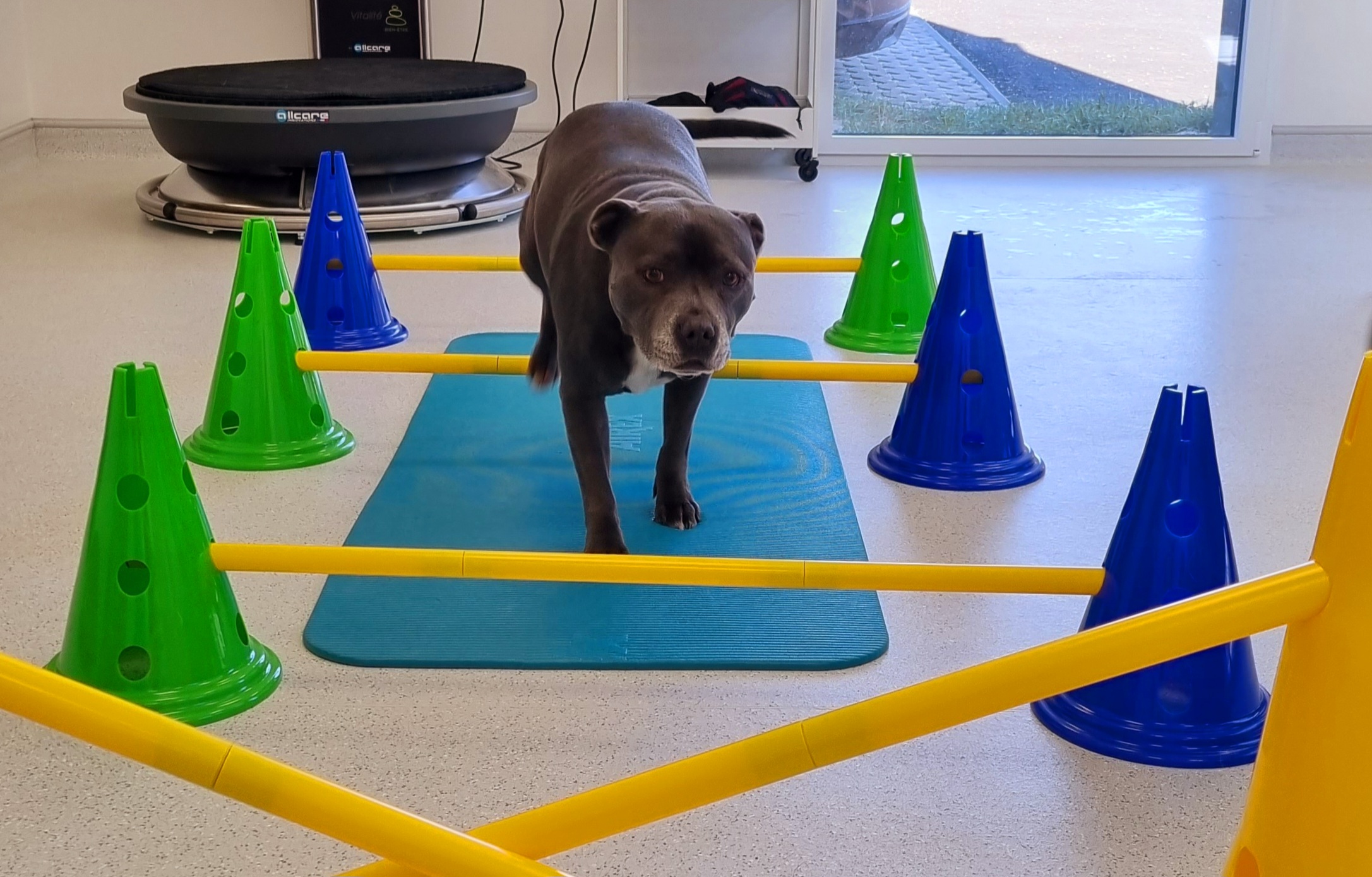 physiothérapie physiothérapie