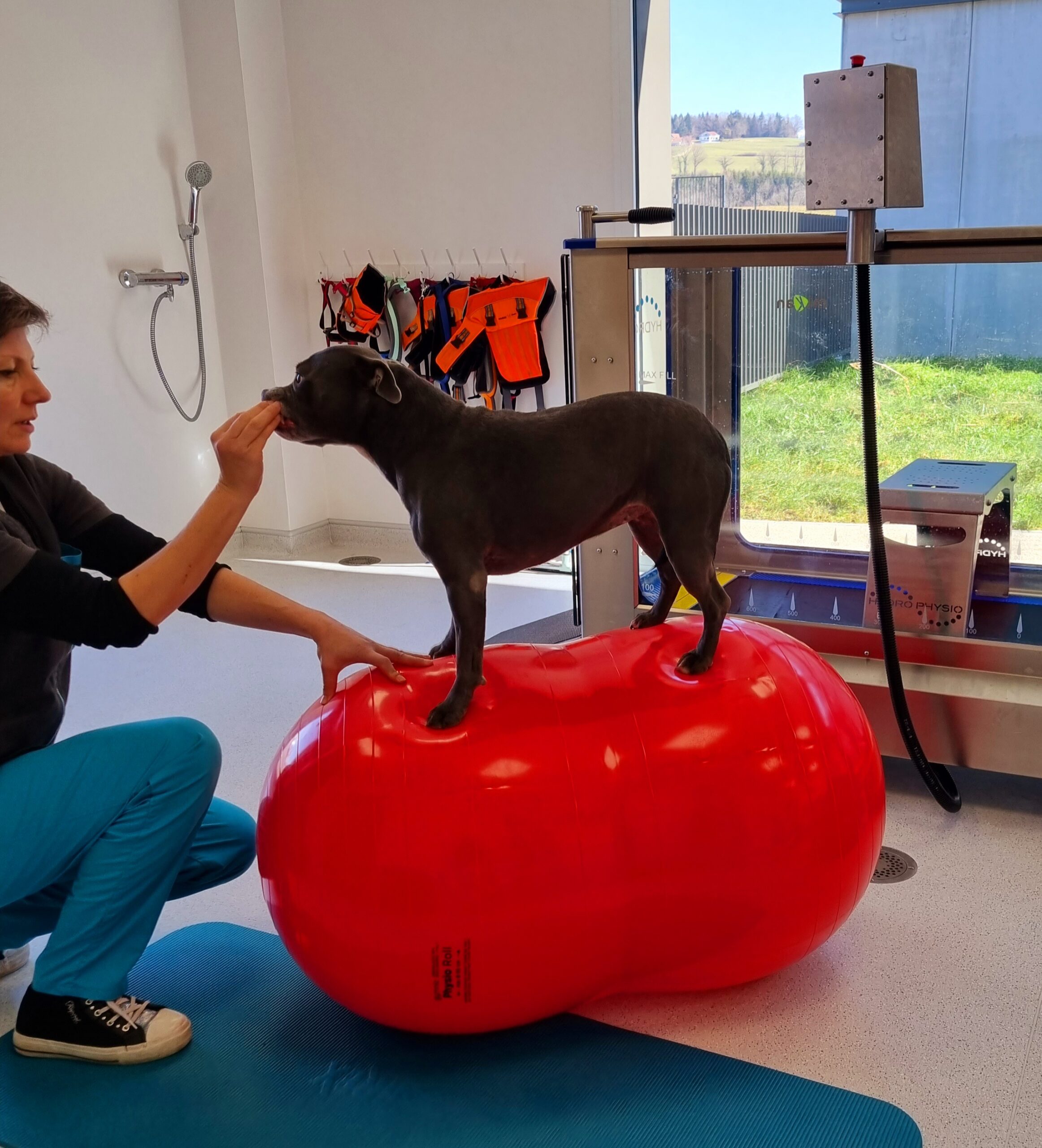 physiothérapie physiothérapie