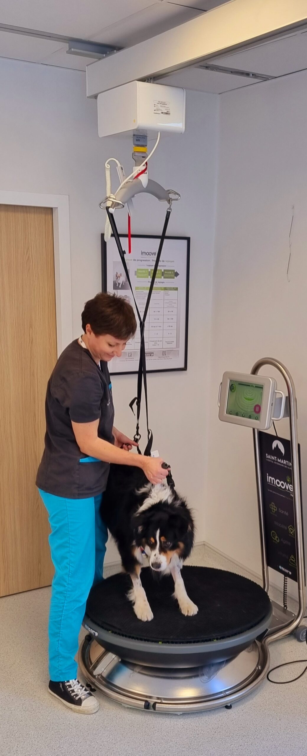 physiothérapie physiothérapie