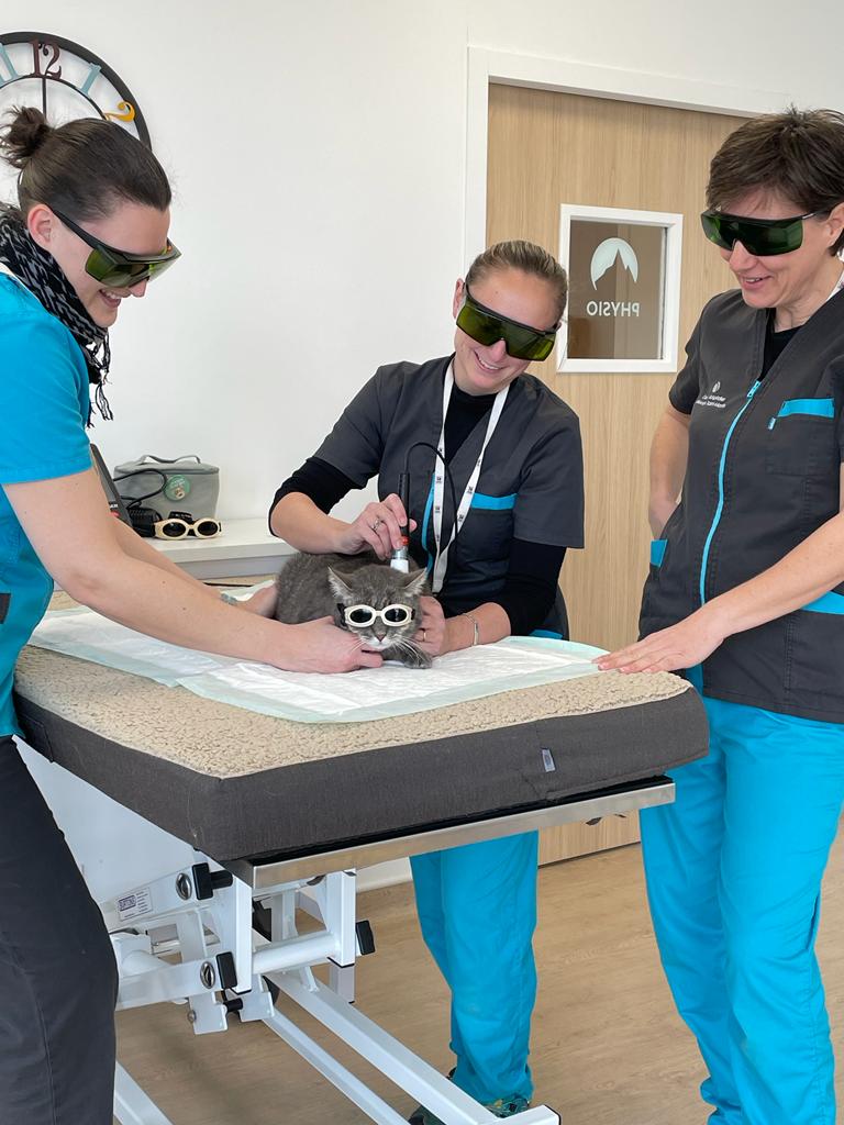 physiothérapie physiothérapie