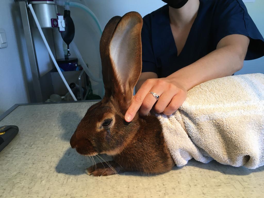 WhatsApp Image 2023-03-04 at 17.08.49