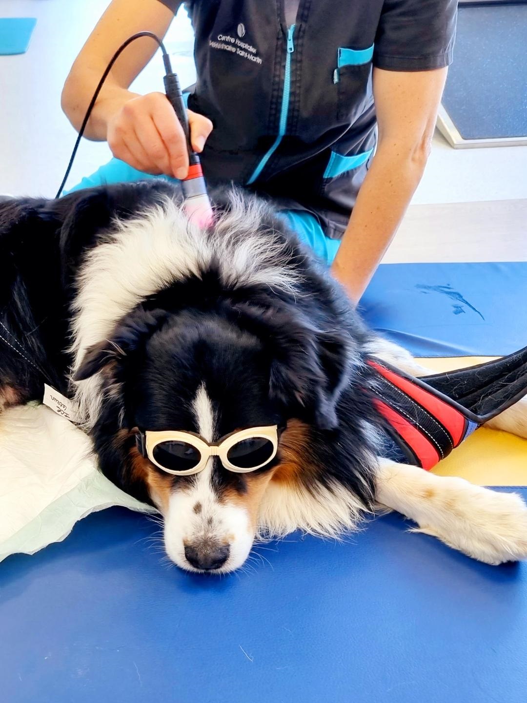 laser 1 physiothérapie