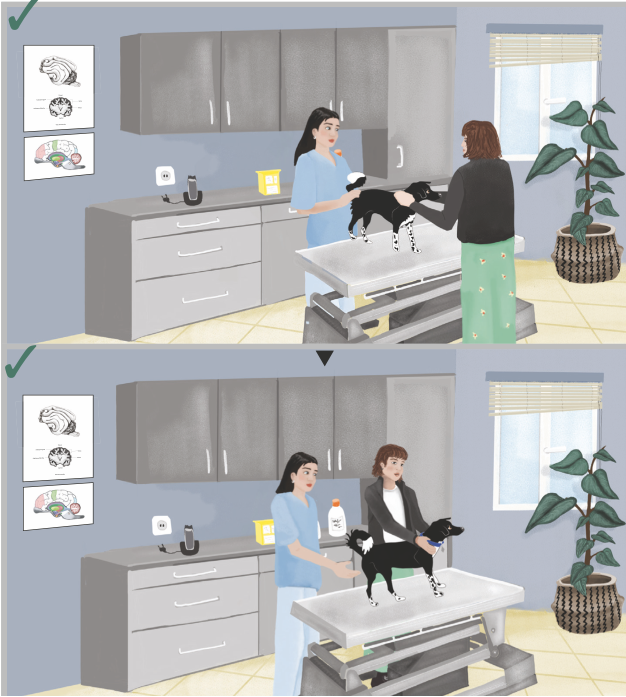Comportement_2-06