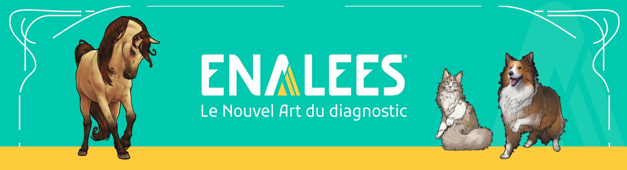 xBanniere-page-daccueil-2048×556.jpg.pagespeed.ic.7SVLeI_Z59