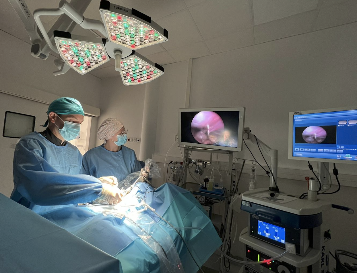 Chirurgie vétérinaire CHV Saint-Martin Chirurgie vétérinaire