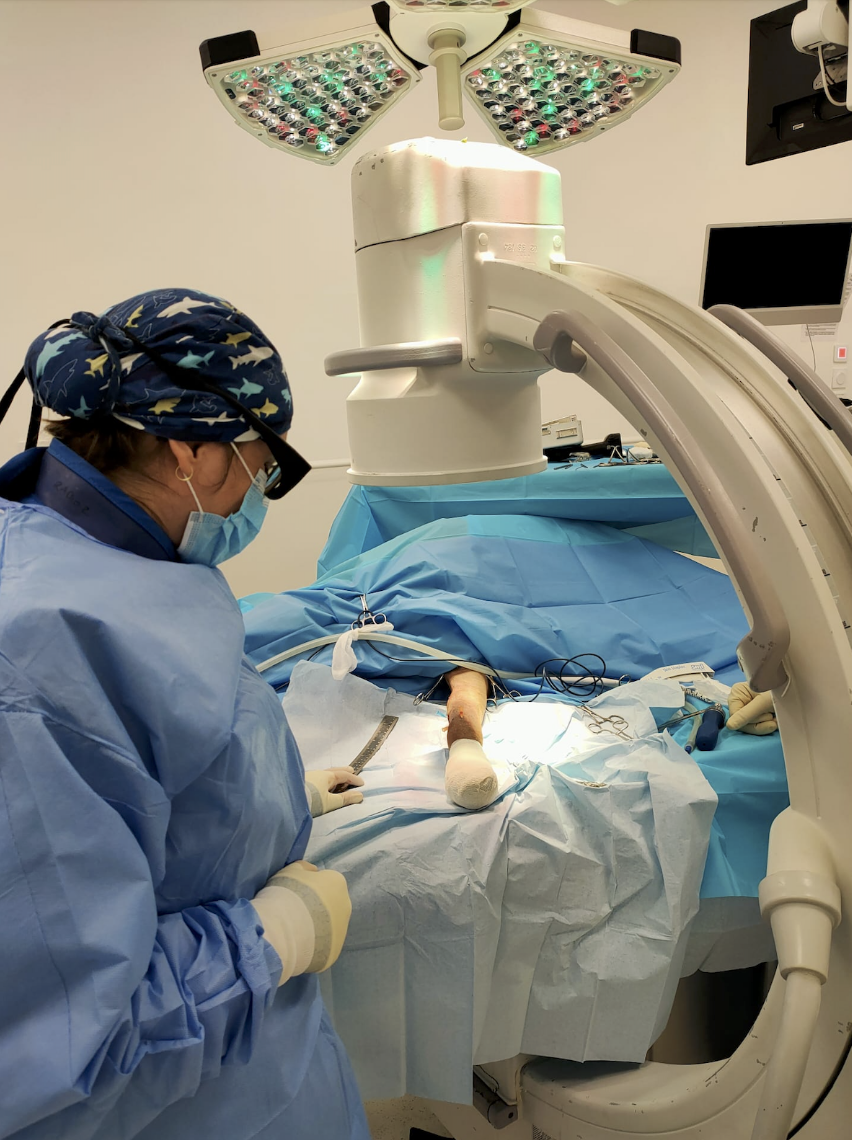 Chirurgie vétérinaire CHV Saint-Martin Chirurgie vétérinaire